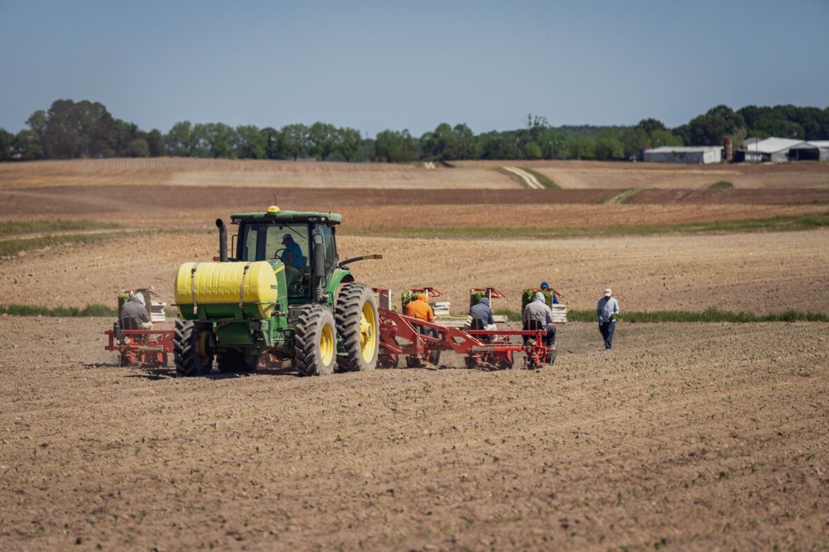 Case IH 8250